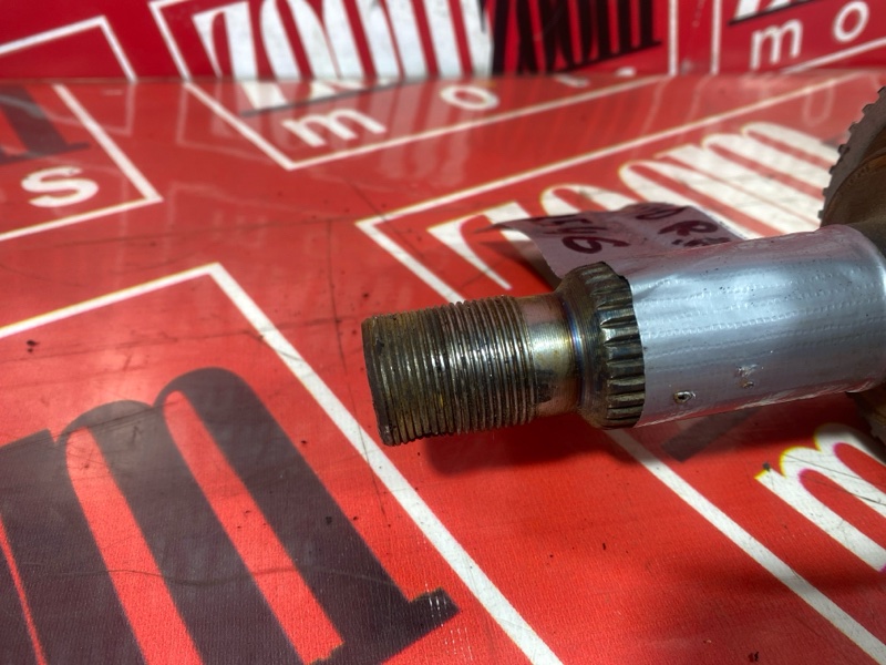 Привод, 8000 рублей, Солонцы