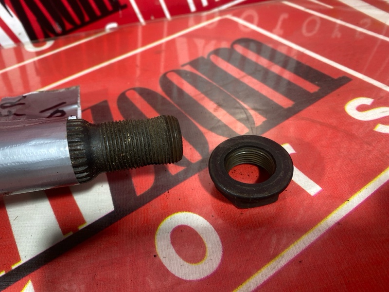 Привод, 8000 рублей, Солонцы