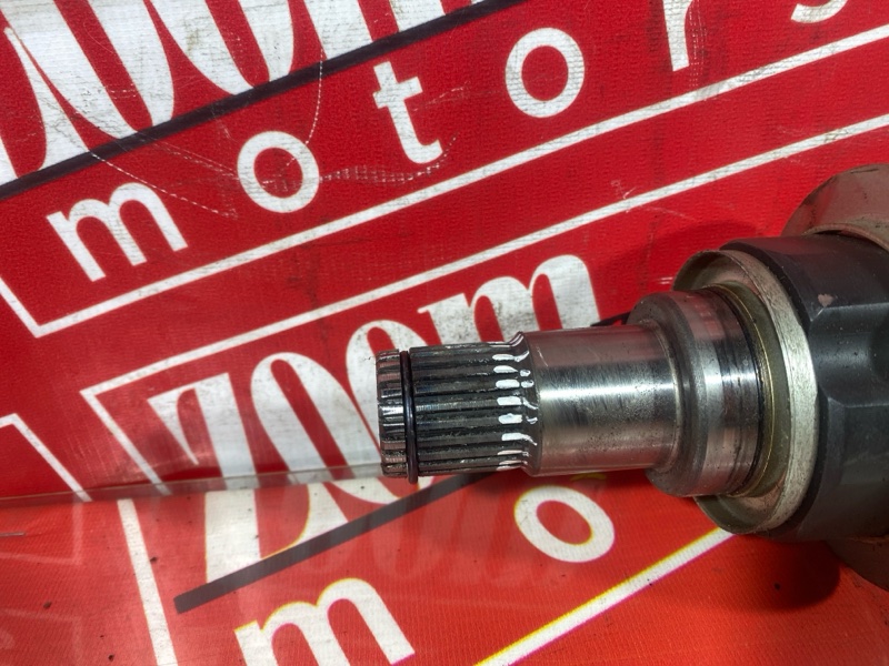 Привод, 5000 рублей, Солонцы