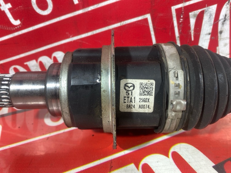 Привод, 5000 рублей, Солонцы