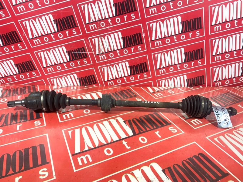 Привод, 1800 рублей, Солонцы