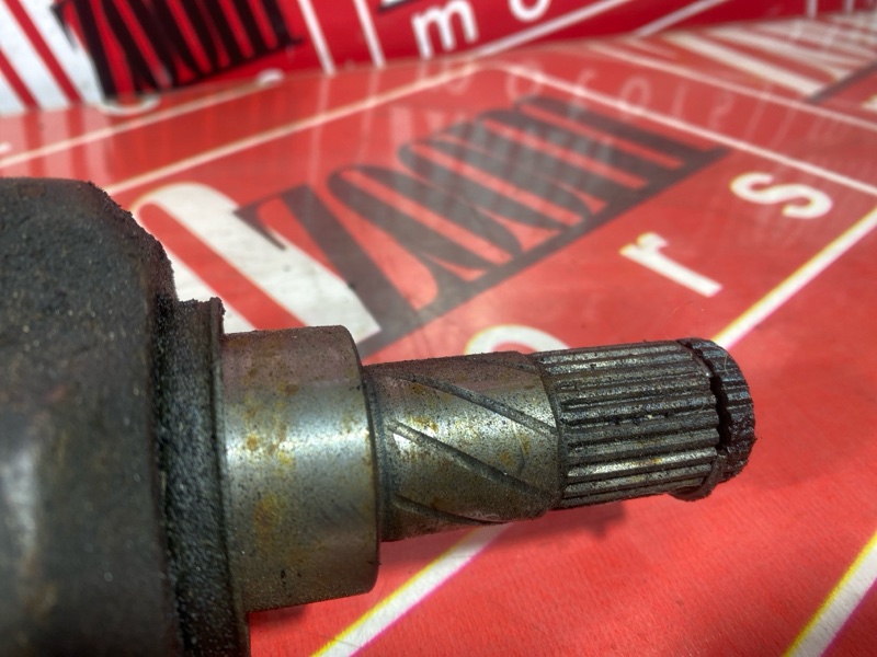 Привод, 2500 рублей, Солонцы