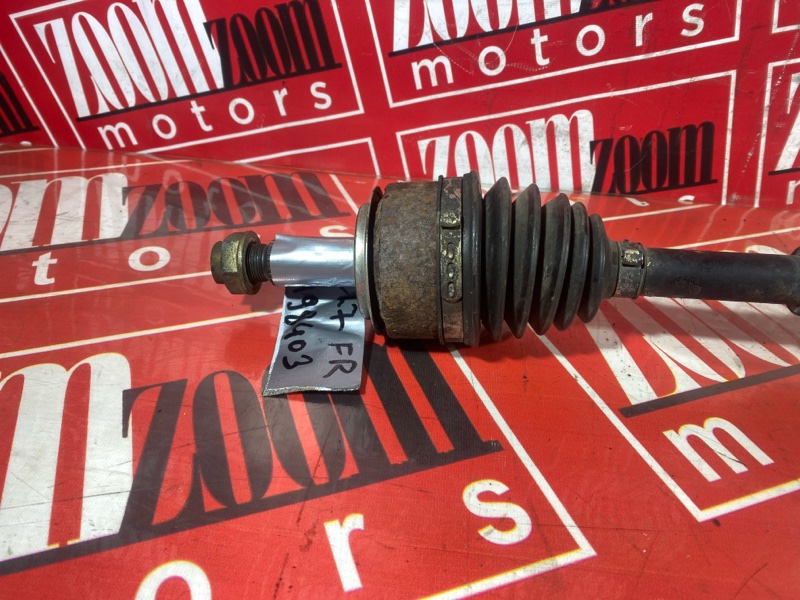 Привод, 2800 рублей, Солонцы