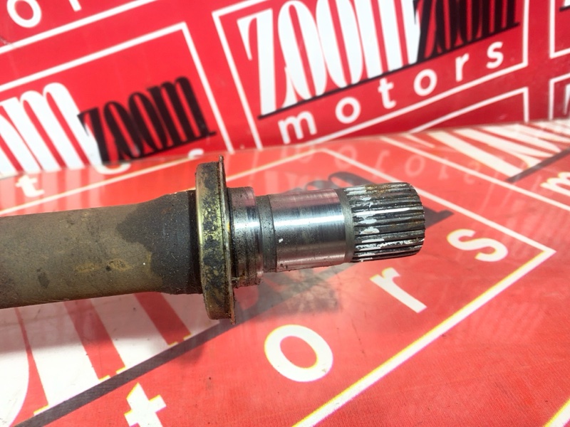 Привод, 2800 рублей, Солонцы