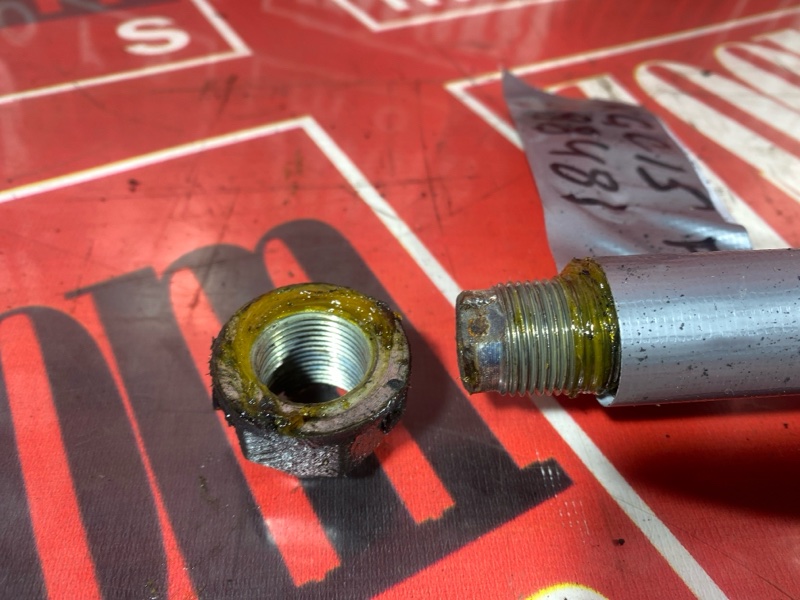 Привод, 1200 рублей, Солонцы