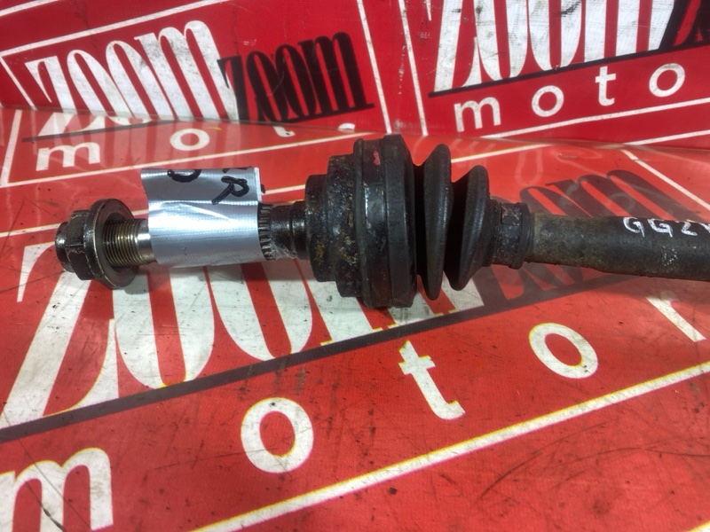 Привод, 3200 рублей, Солонцы