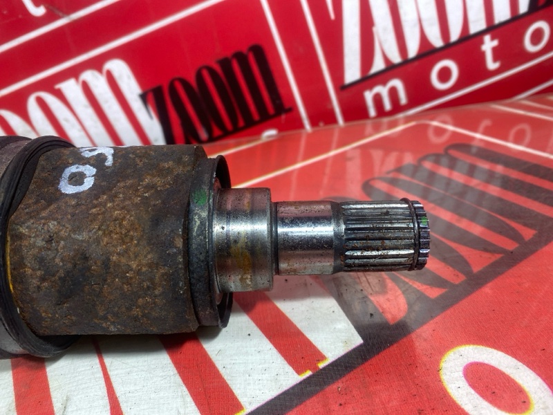 Привод, 3200 рублей, Солонцы