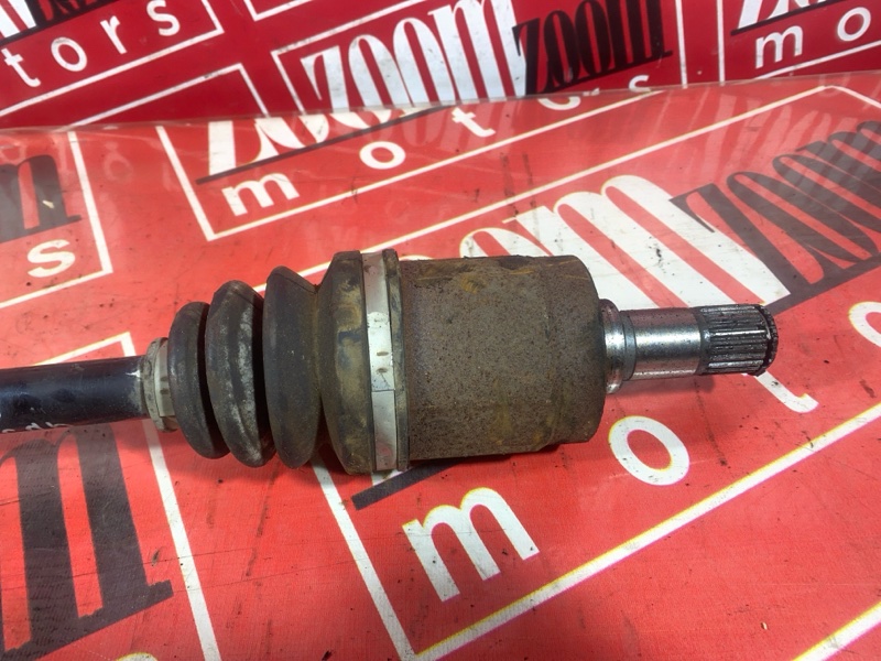 Привод, 1200 рублей, Солонцы