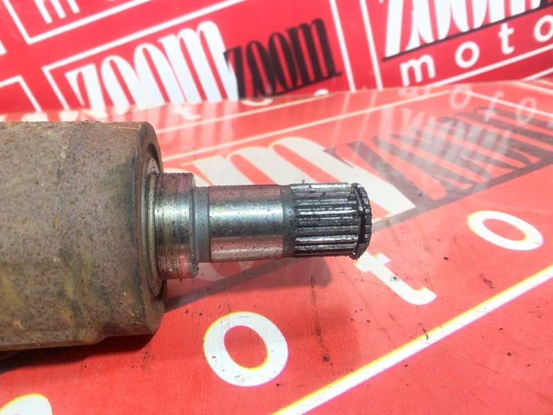 Привод, 1200 рублей, Солонцы