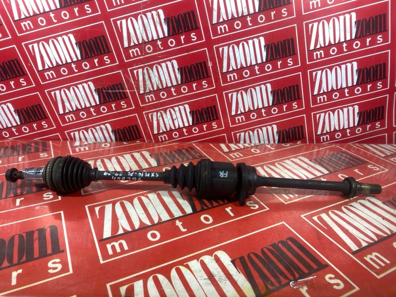 Привод, 10000 рублей, Солонцы