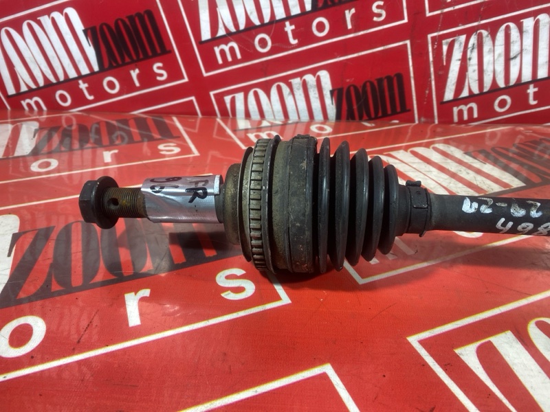 Привод, 10000 рублей, Солонцы