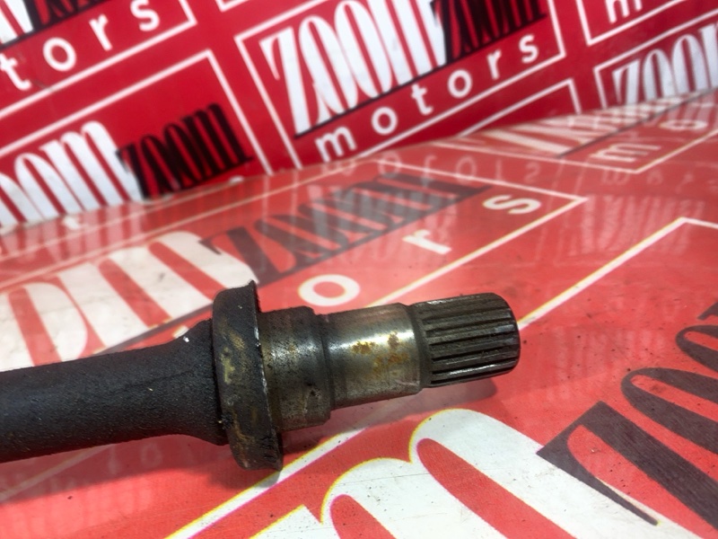 Привод, 10000 рублей, Солонцы