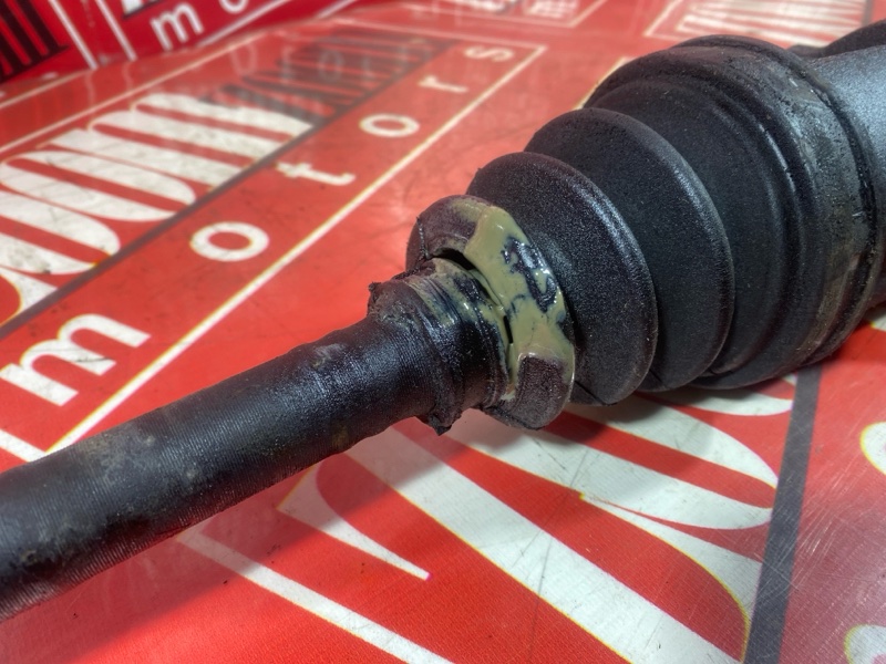 Привод, 10000 рублей, Солонцы