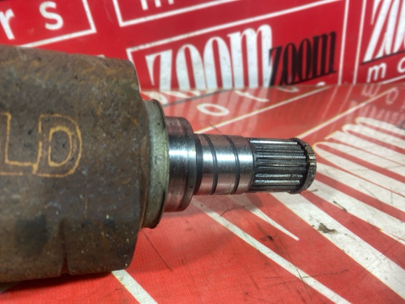 Привод, 2500 рублей, Солонцы