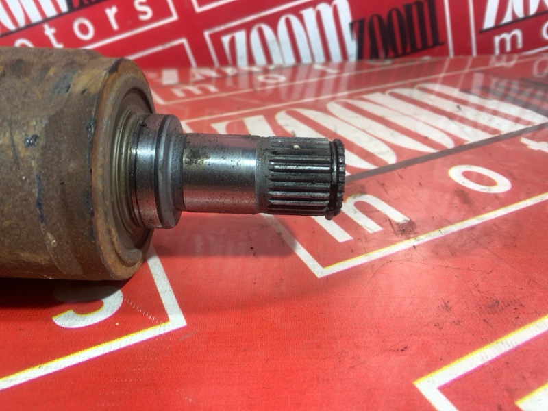 Привод, 3000 рублей, Солонцы