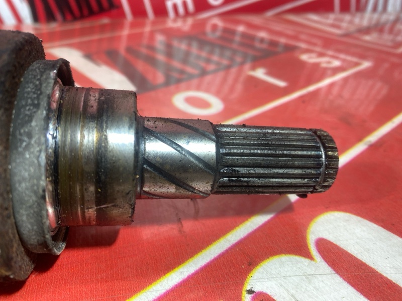 Привод, 1000 рублей, Солонцы