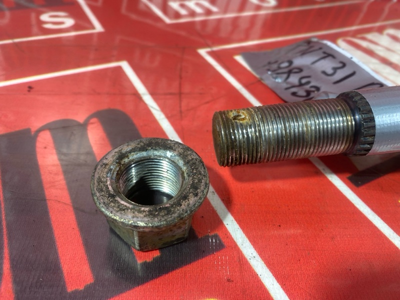 Привод, 1000 рублей, Солонцы