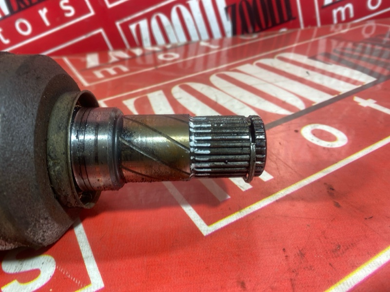 Привод, 3500 рублей, Солонцы