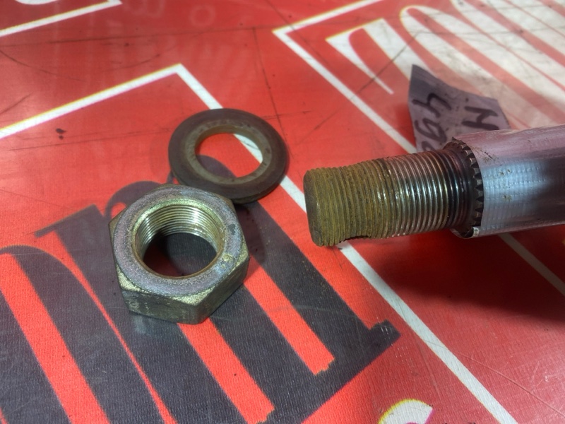 Привод, 3500 рублей, Солонцы