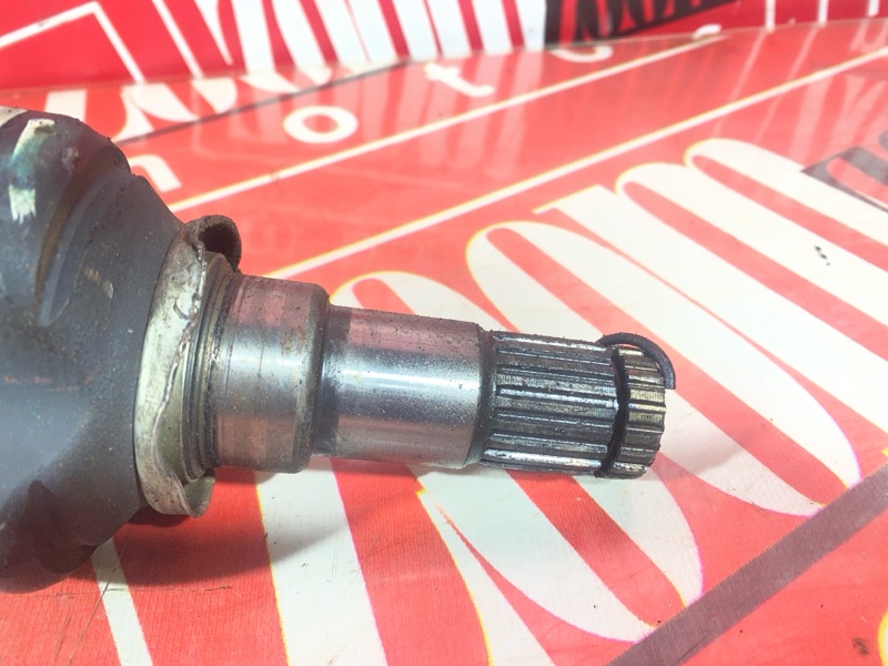 Привод, 7000 рублей, Солонцы