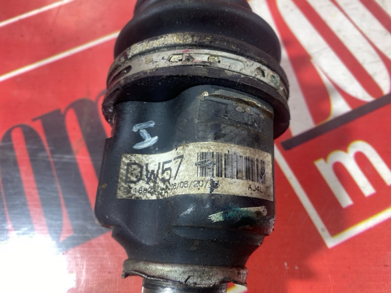 Привод, 7000 рублей, Солонцы