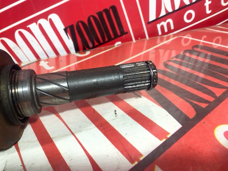 Привод, 8000 рублей, Солонцы