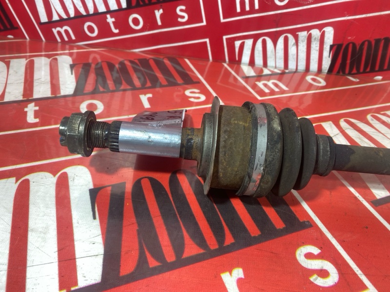 Привод, 1000 рублей, Солонцы