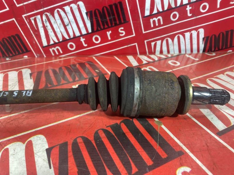 Привод, 1000 рублей, Солонцы