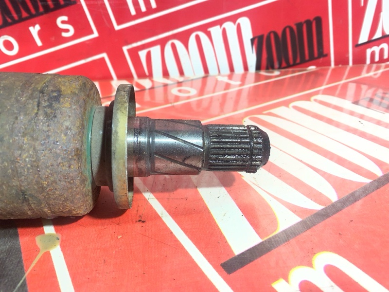 Привод, 1000 рублей, Солонцы