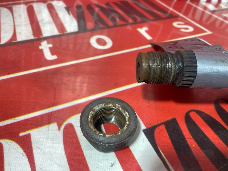 Привод, 1000 рублей, Солонцы