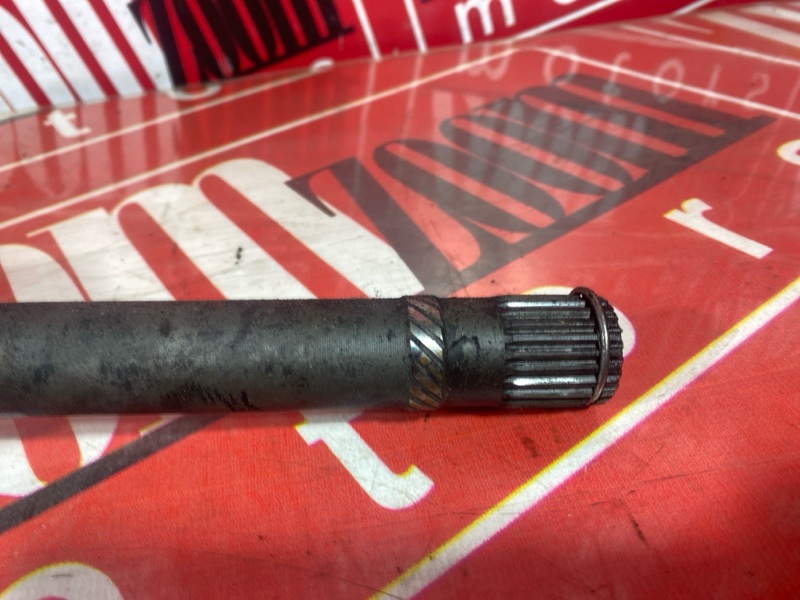 Привод, 1200 рублей, Солонцы