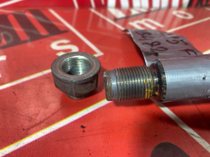 Привод, 1200 рублей, Солонцы