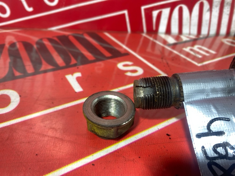 Привод, 3000 рублей, Солонцы