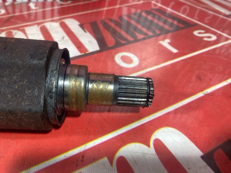 Привод, 3200 рублей, Солонцы