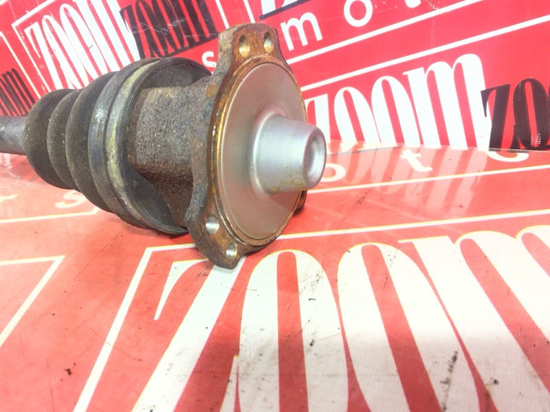 Привод, 1800 рублей, Солонцы