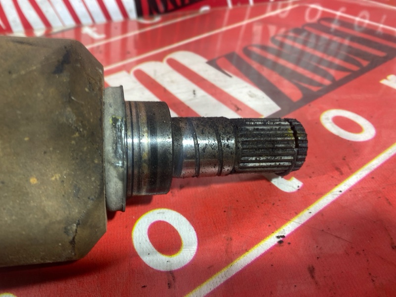 Привод, 2800 рублей, Солонцы