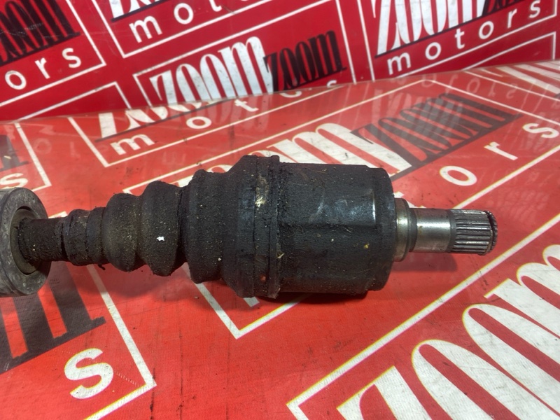 Привод, 8000 рублей, Солонцы