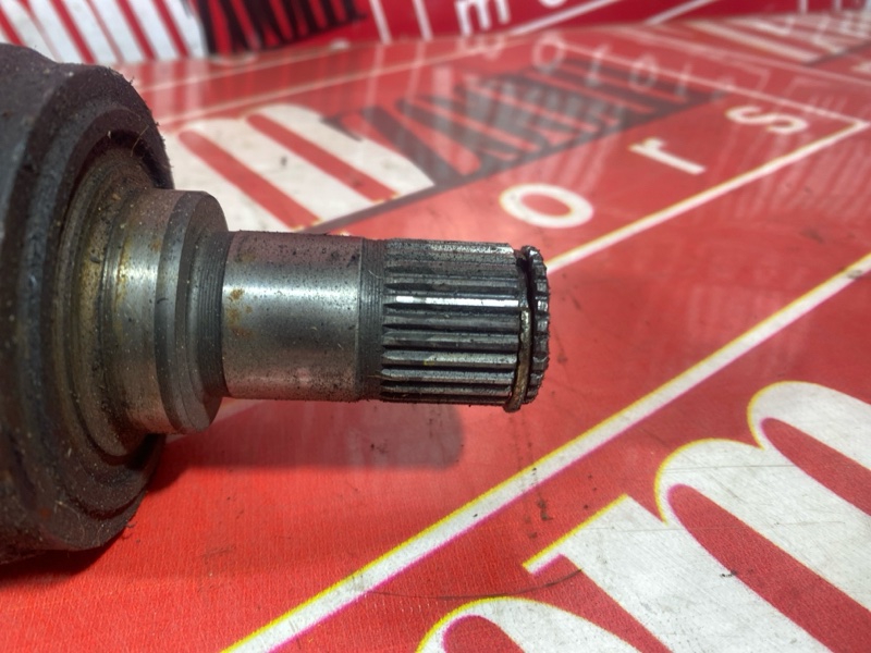 Привод, 8000 рублей, Солонцы