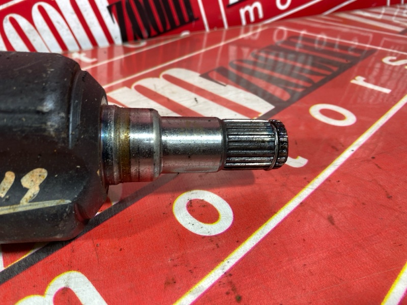 Привод, 1800 рублей, Солонцы