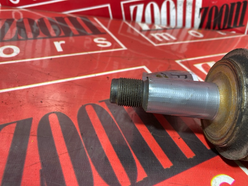 Привод, 4500 рублей, Солонцы