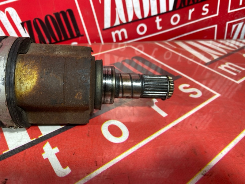 Привод, 3500 рублей, Солонцы