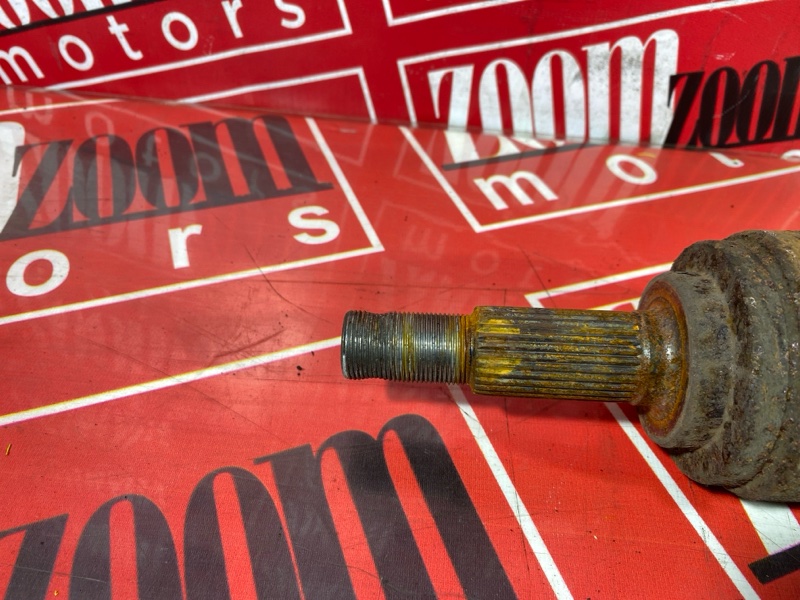 Привод, 3500 рублей, Солонцы