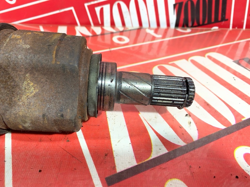 Привод, 600 рублей, Солонцы