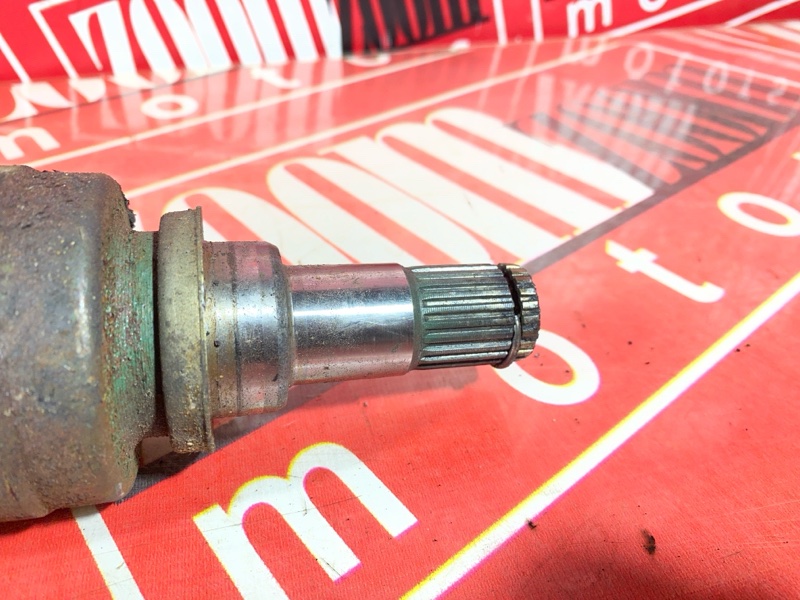 Привод, 1800 рублей, Солонцы