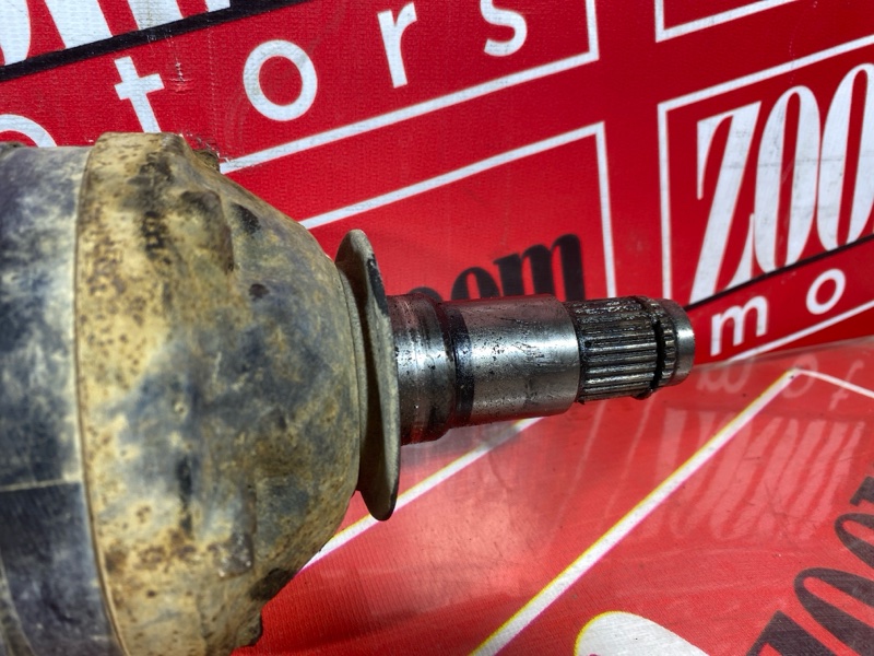 Привод, 4000 рублей, Солонцы