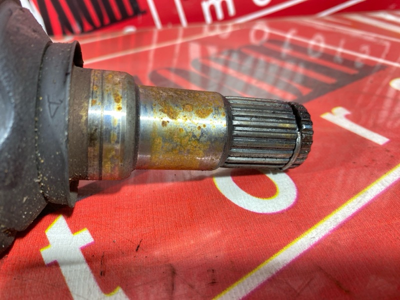 Привод, 1800 рублей, Солонцы