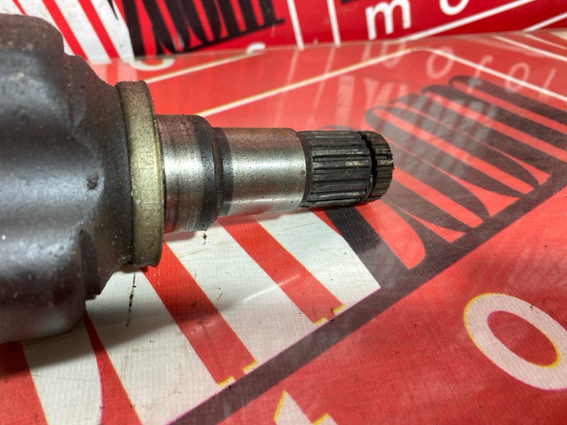 Привод, 8000 рублей, Солонцы