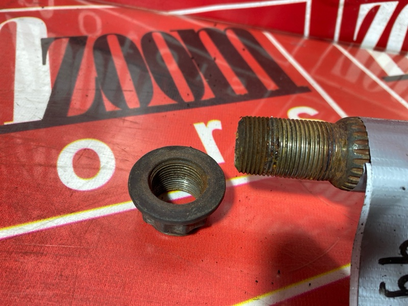 Привод, 8000 рублей, Солонцы