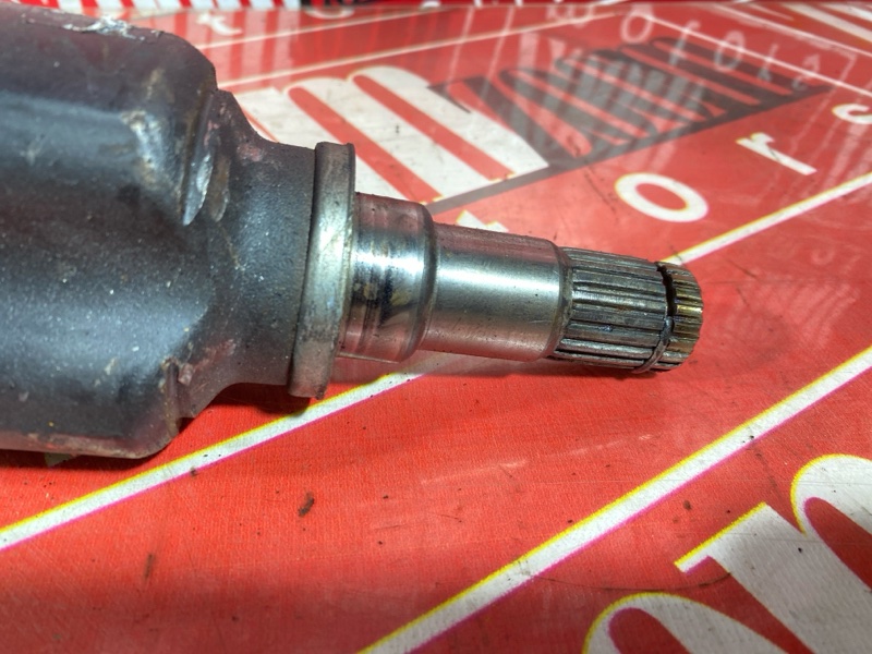 Привод, 4000 рублей, Солонцы