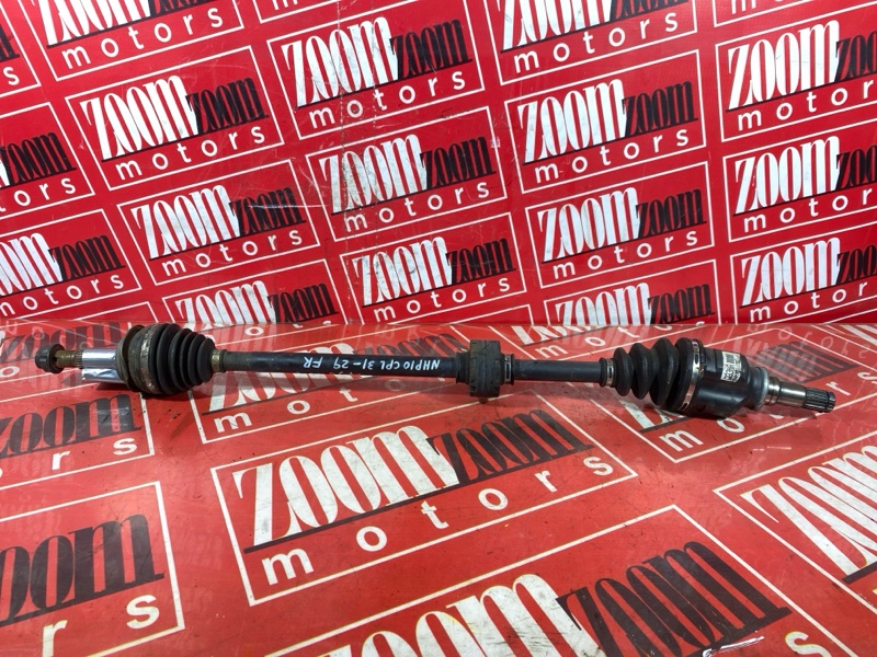 Привод, 4000 рублей, Солонцы